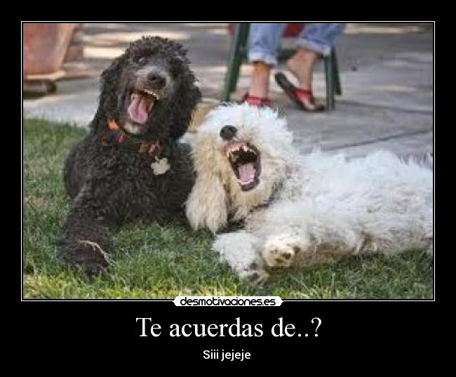 Te acuerdas de..? -