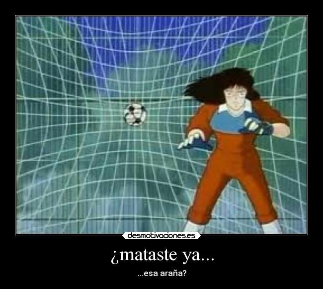 ¿mataste ya... - ...esa araña?