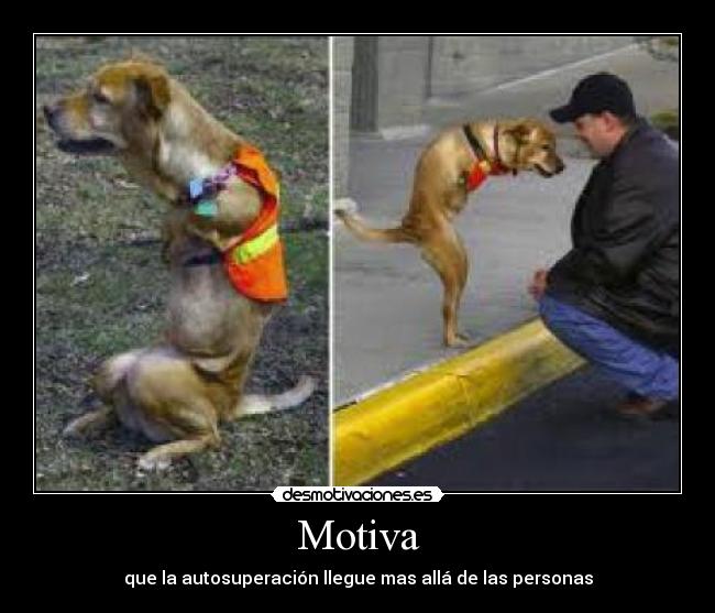 carteles autosuperacion desmotivaciones