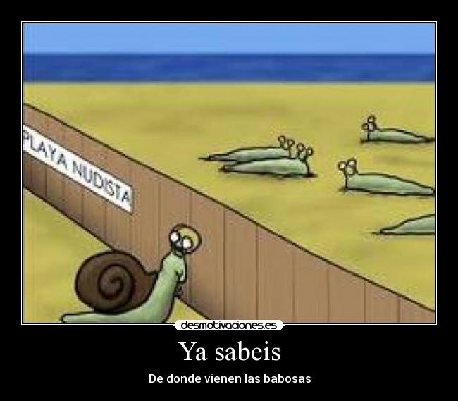 carteles sabeis desmotivaciones