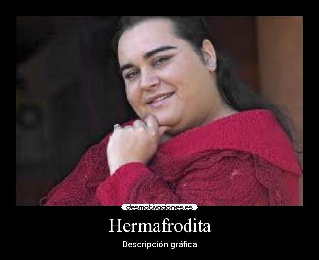 Hermafrodita - Descripción gráfica