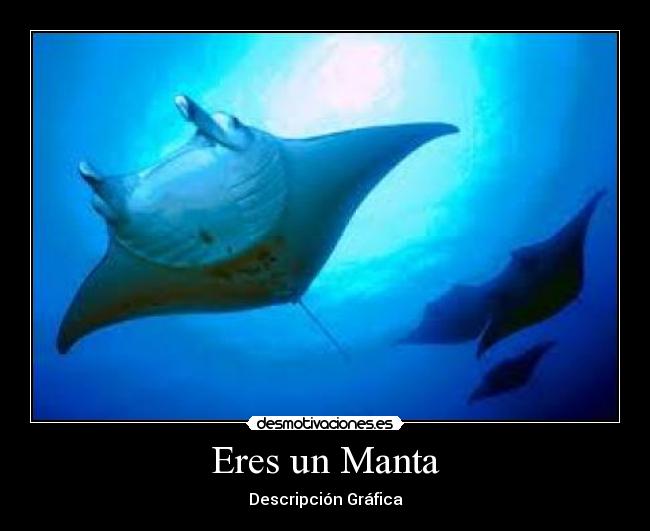 Eres un Manta -