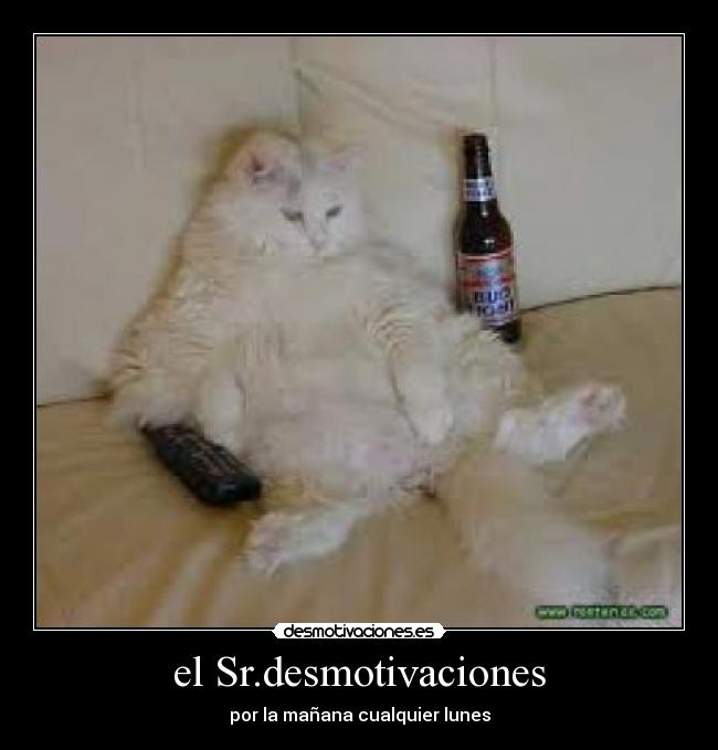 el Sr.desmotivaciones - por la mañana cualquier lunes