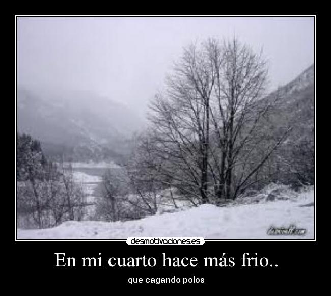En mi cuarto hace más frio.. - que cagando polos
