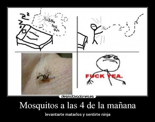 Mosquitos a las 4 de la mañana -