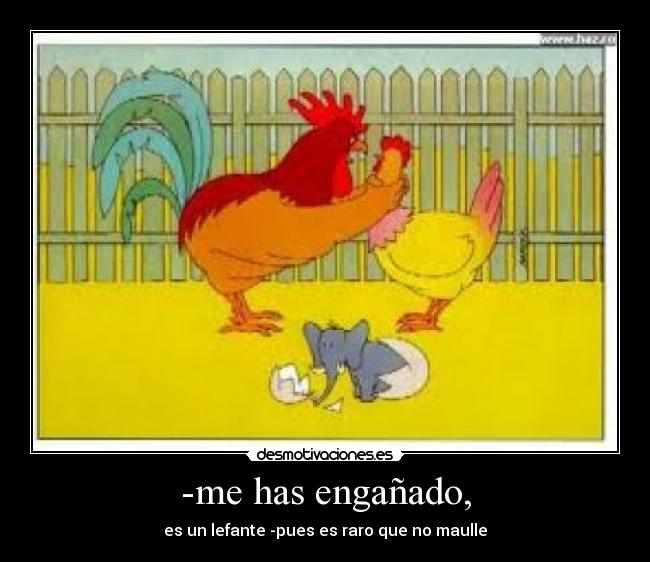 -me has engañado, - es un lefante -pues es raro que no maulle