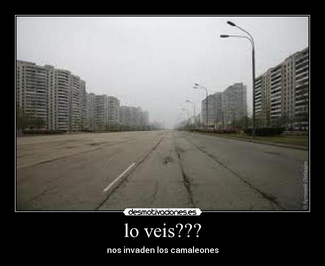 lo veis??? - nos invaden los camaleones