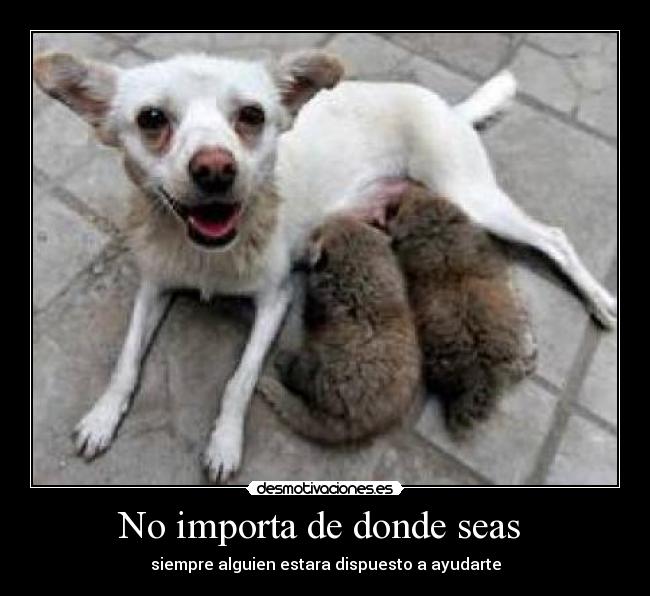 No importa de donde seas  - siempre alguien estara dispuesto a ayudarte