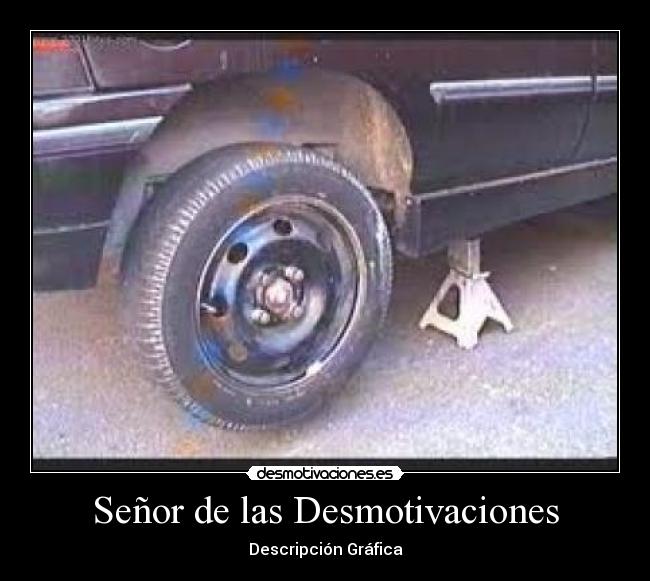 Señor de las Desmotivaciones - Descripción Gráfica