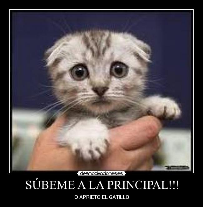 SÚBEME A LA PRINCIPAL!!! - O APRIETO EL GATILLO