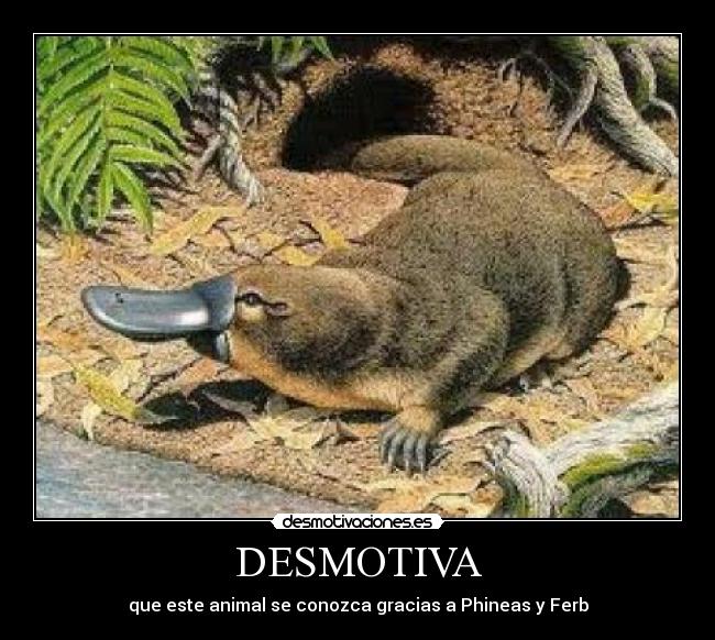 DESMOTIVA -