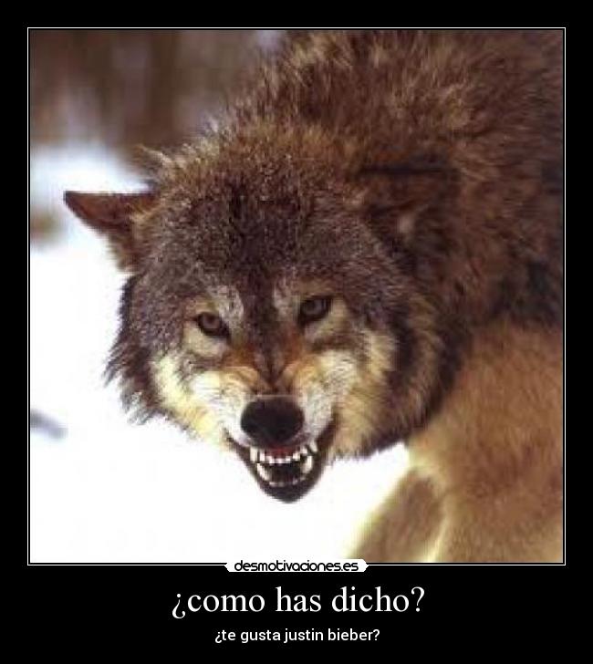 ¿como has dicho? - 