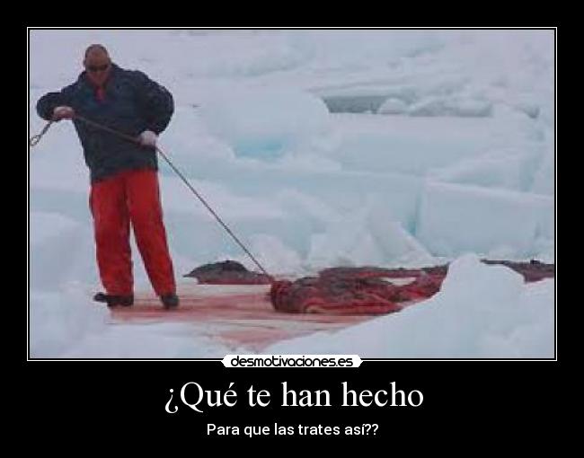 ¿Qué te han hecho -