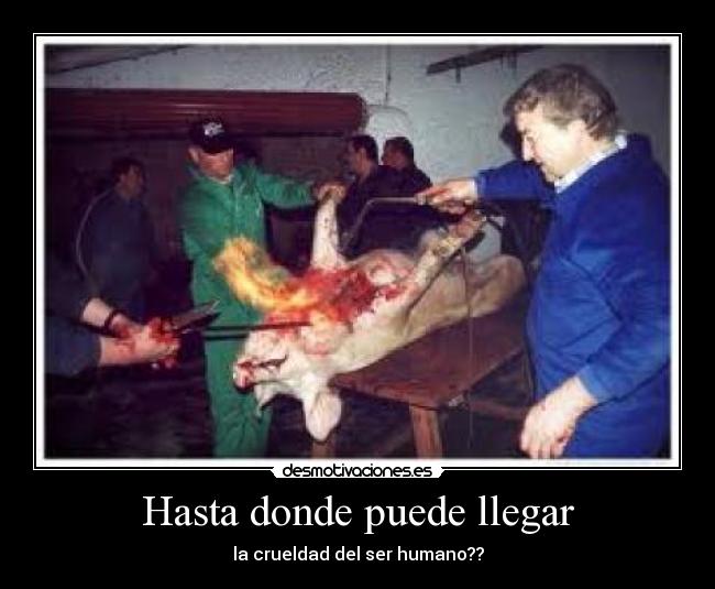 Hasta donde puede llegar -