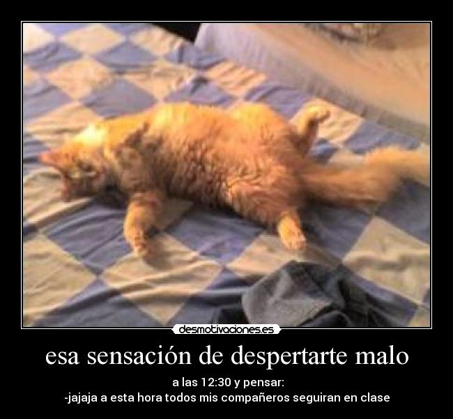 carteles esa sensacion despertarte malo desmotivaciones