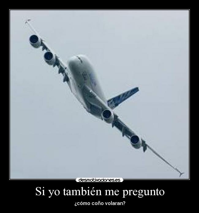 Si yo también me pregunto - 