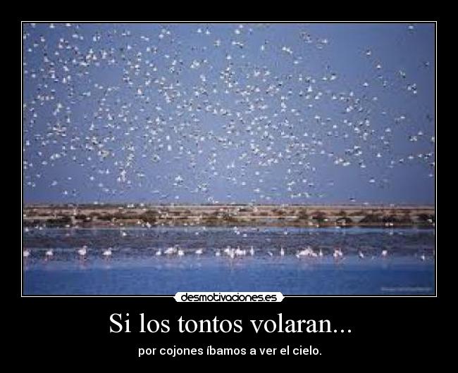 Si los tontos volaran... - por cojones íbamos a ver el cielo.