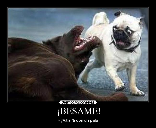 ¡BESAME! - 