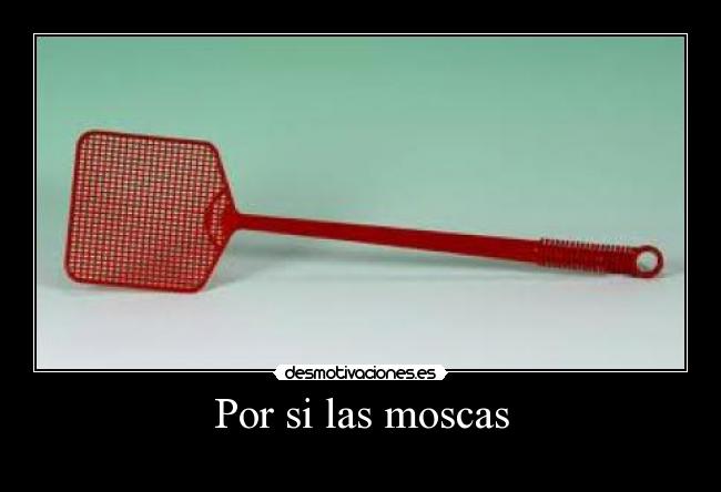 Por si las moscas - 