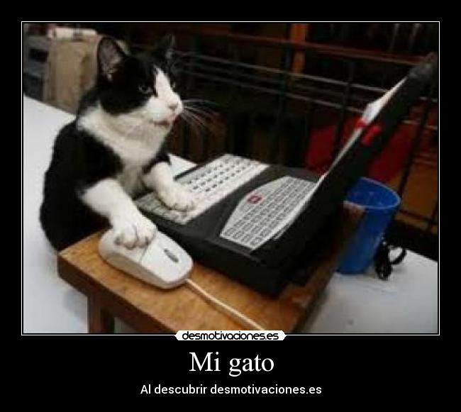 carteles gatos desmotivaciones