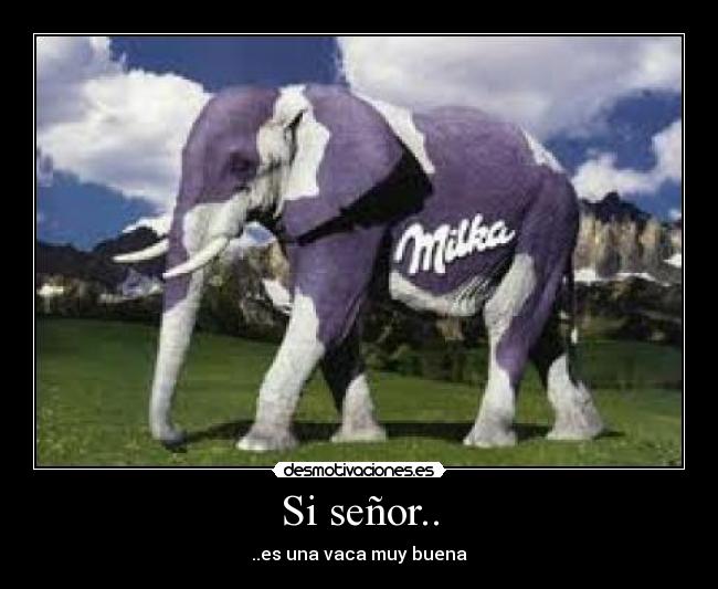 Si señor.. - ..es una vaca muy buena