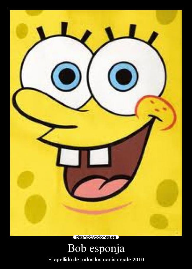 Bob esponja - El apellido de todos los canis desde 2010