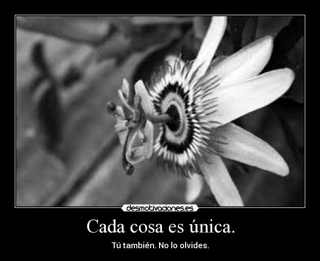 Cada cosa es única. -