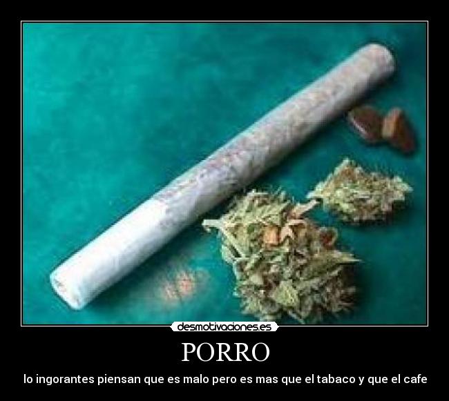 PORRO - lo ingorantes piensan que es malo pero es mas que el tabaco y que el cafe