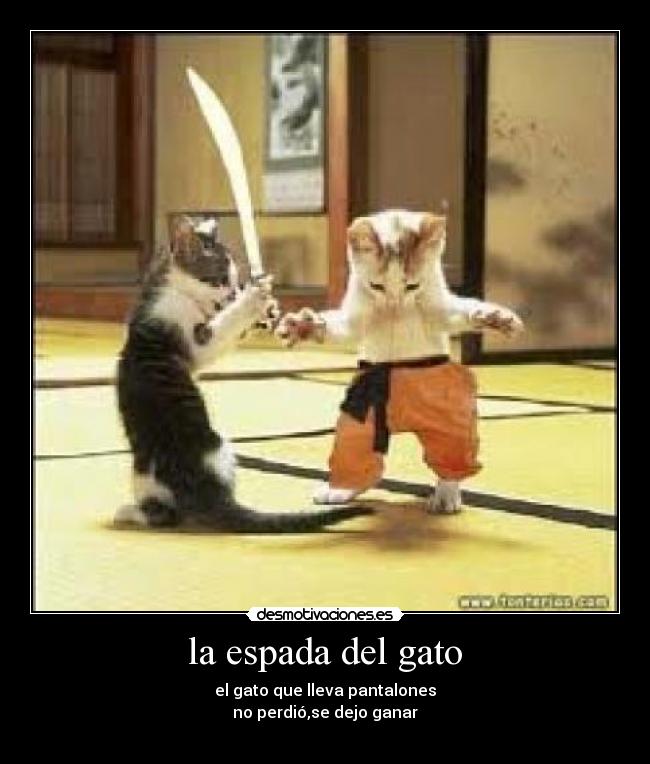 la espada del gato -