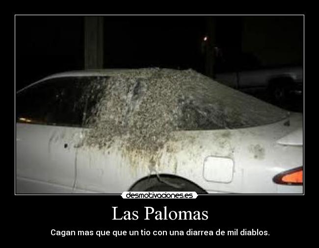 Las Palomas -