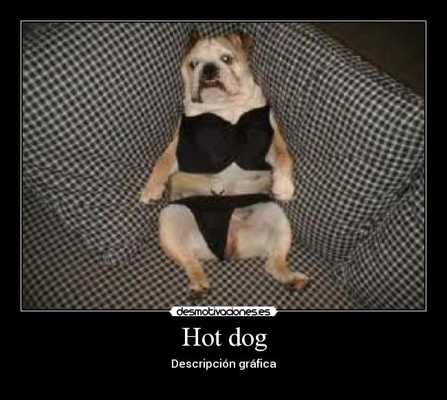 Hot dog -