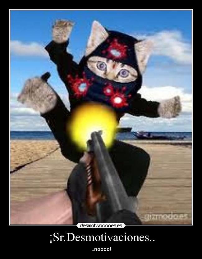 ¡Sr.Desmotivaciones.. - ..noooo!