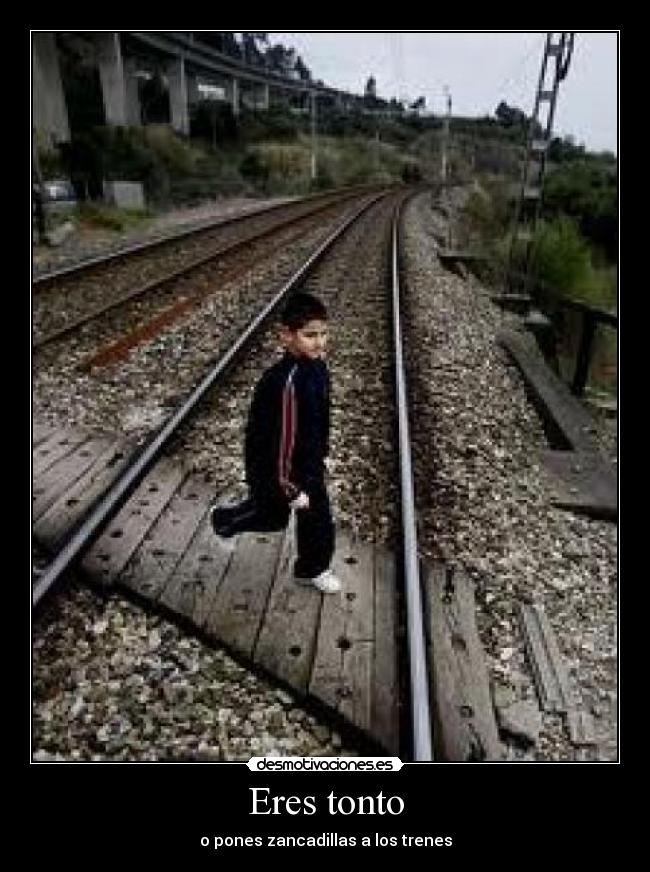 Eres tonto - 