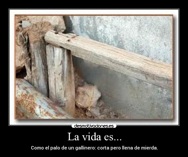 La vida es... -