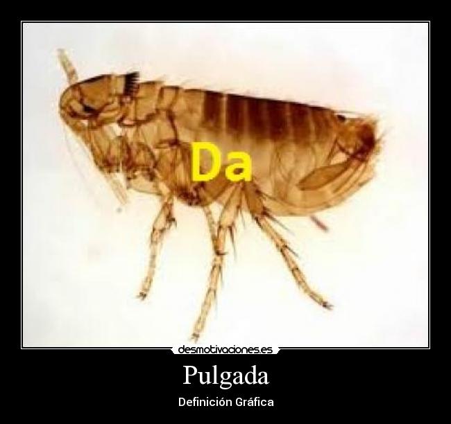 Imágenes y Carteles de PULGADA Desmotivaciones
