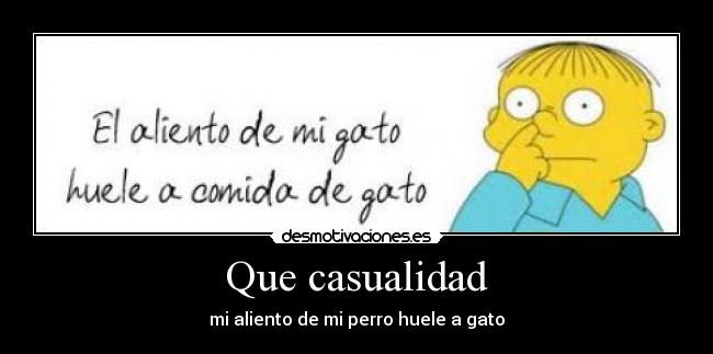 Que casualidad - mi aliento de mi perro huele a gato