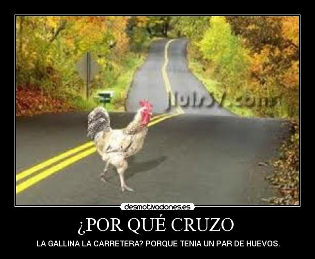 Imágenes y Carteles de GALLINA Pag. 73 Desmotivaciones