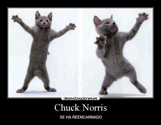 Chuck Norris - SE HA REENCARNADO