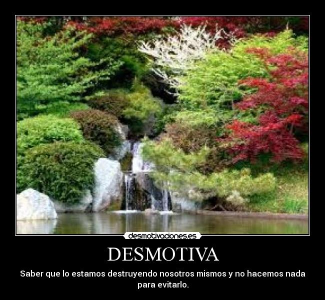 DESMOTIVA - 