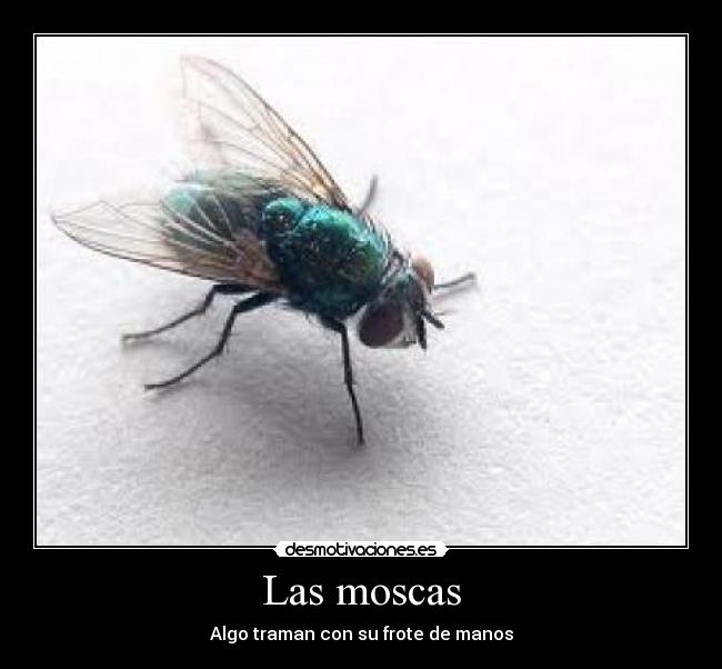 Las moscas -
