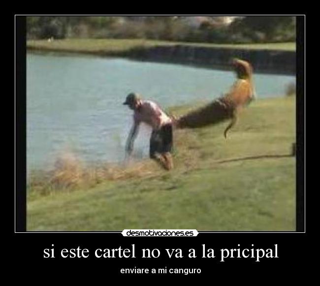 si este cartel no va a la pricipal -