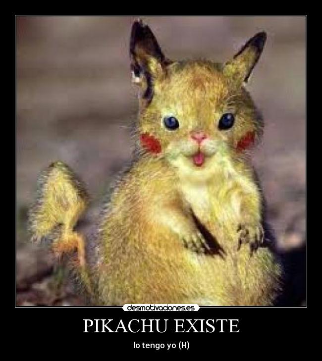 PIKACHU EXISTE - lo tengo yo (H)
