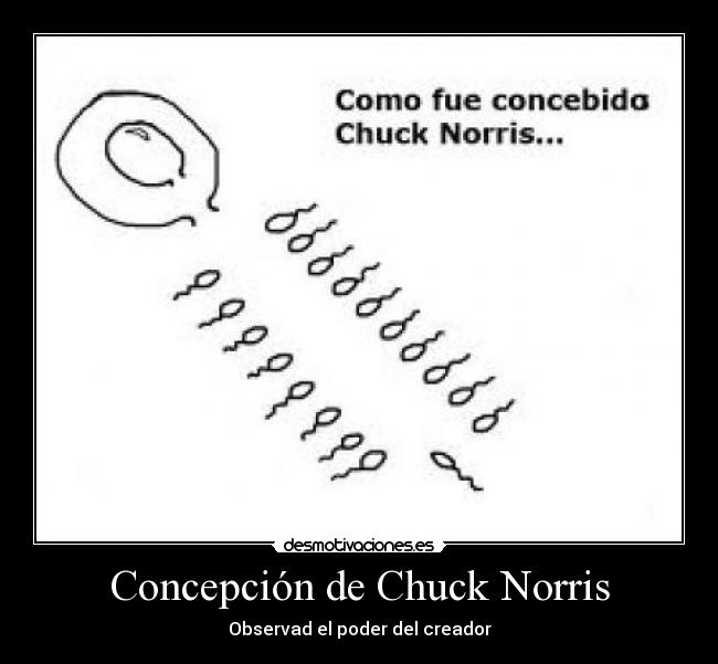 Concepción de Chuck Norris - Observad el poder del creador