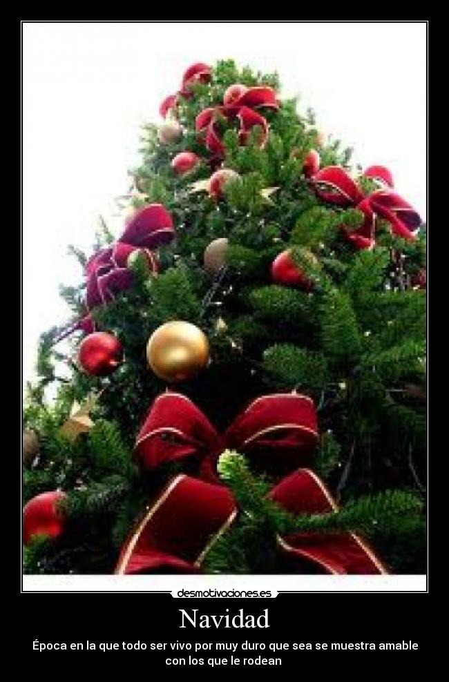 Navidad - Época en la que todo ser vivo por muy duro que sea se muestra amable
con los que le rodean 