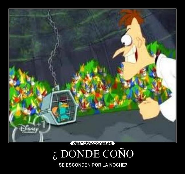 ¿ DONDE COÑO -