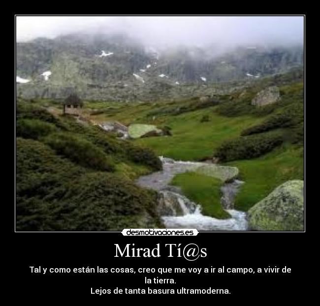 Mirad Tí@s - 