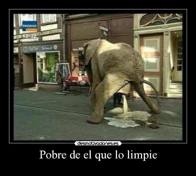 carteles elefante desmotivaciones