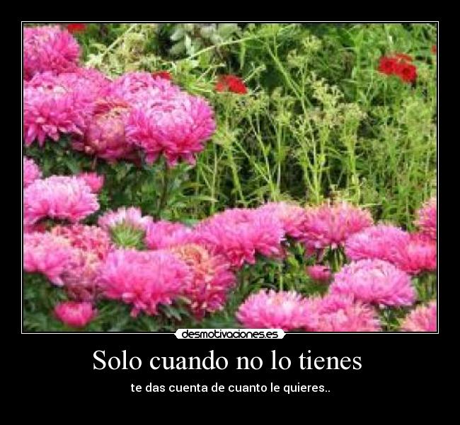 Solo cuando no lo tienes - te das cuenta de cuanto le quieres..