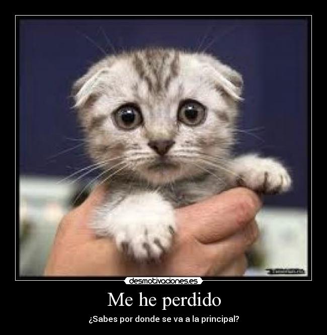 Me he perdido - 