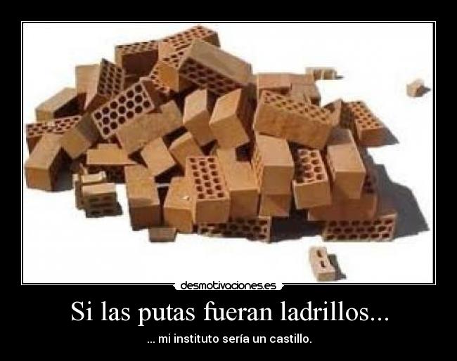 Si las putas fueran ladrillos... - ... mi instituto sería un castillo.